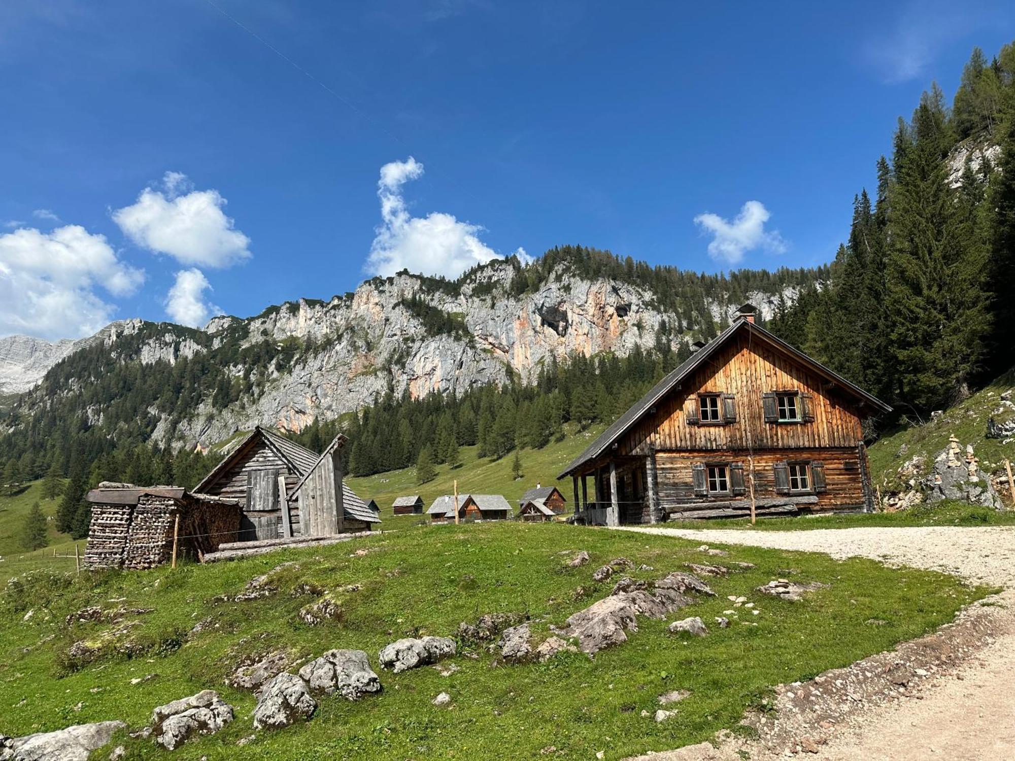 Pension Alpenhaus Vorderstoder Exterior foto